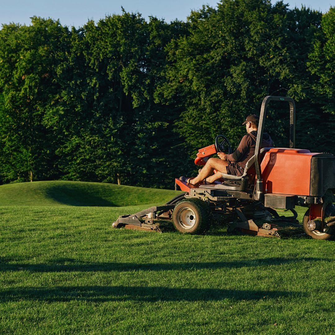 Kaffee Tees: Die Wahl des Greenkeepers für einen nachhaltigeren Golfplatz